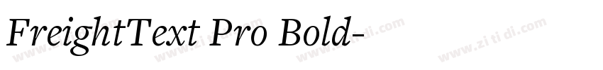 FreightText Pro Bold字体转换